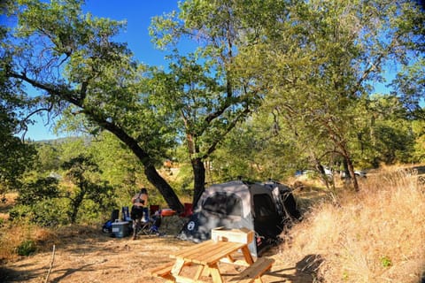 Natural landscape, group of guests