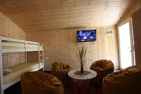 Communal lounge/ TV room, Living room, Seating area