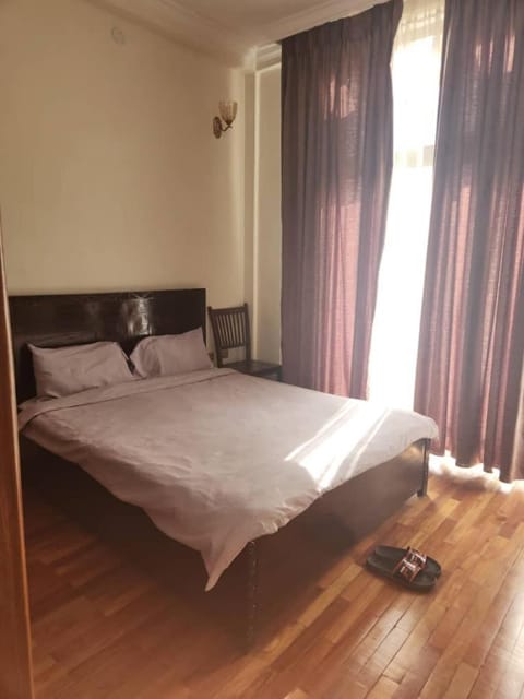 Luxury Gest house Bed and breakfast in Addis Ababa