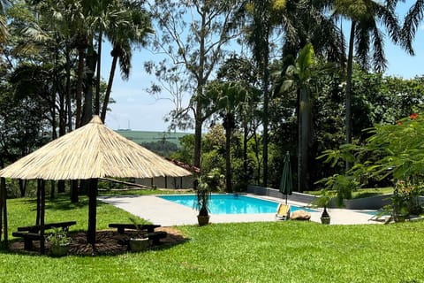 Day, Garden, Garden view, Pool view, Swimming pool