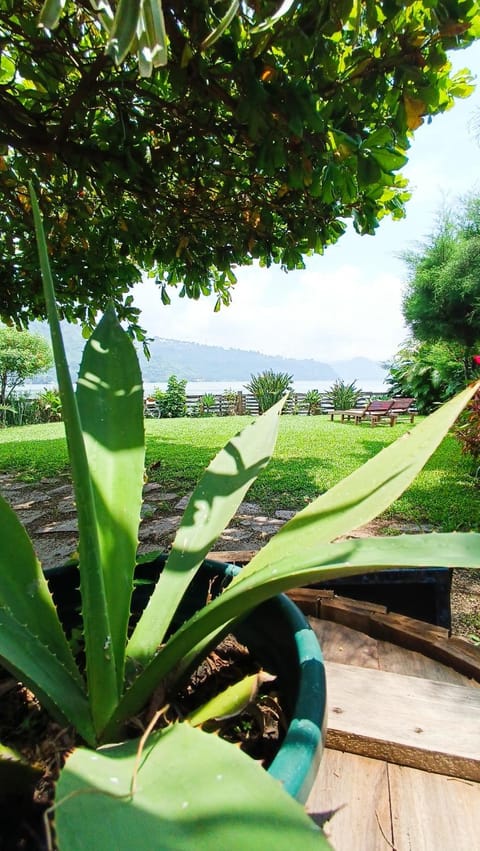 Garden, Lake view