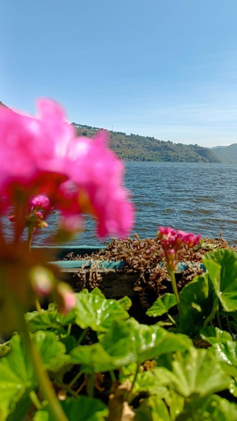 Garden view, Lake view