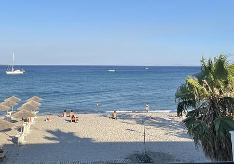 Natural landscape, Beach, Sea view, sunbed