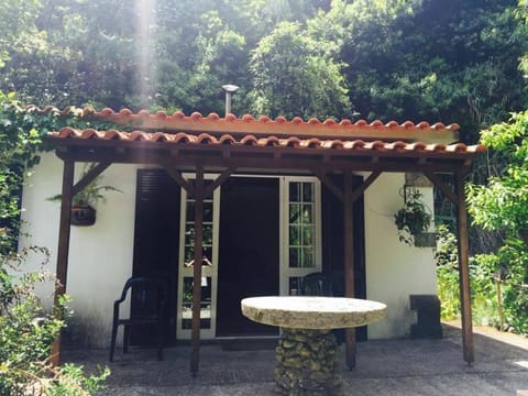 Moinho do Comandante Farm Stay in Madeira District