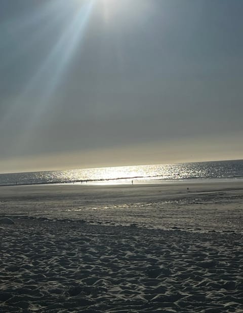 Natural landscape, Beach, Sea view, Sunset