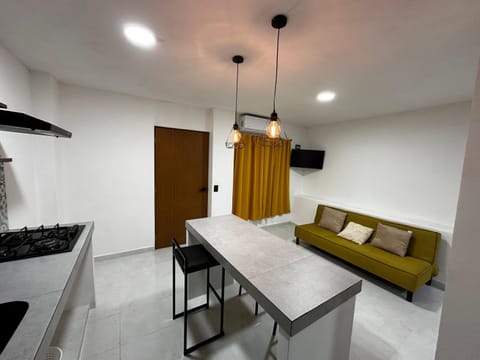 Casa Cuauhtémoc 1 Apartment in Puerto Vallarta