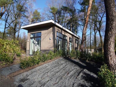 Tiny house with a decorative fireplace near the Veluwe Maison in Hoenderloo