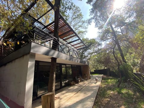 Casa en el bosque House in Mexico City