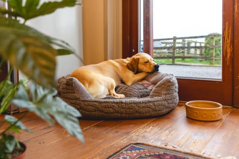 Middlewick Holiday Cottages Resort in Glastonbury