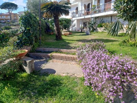 Garden, Garden view