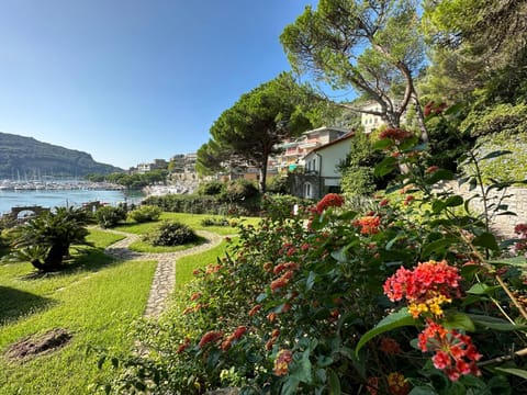 Garden, City view, Garden view