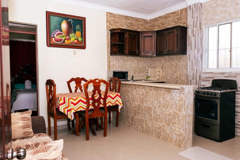 Kitchen or kitchenette, Living room, Seating area, Dining area, microwave, stove, kitchen