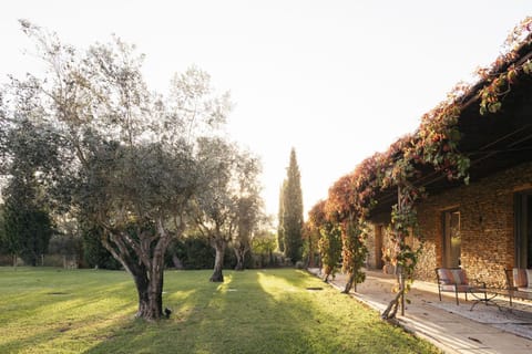 Patio, Garden, Garden view