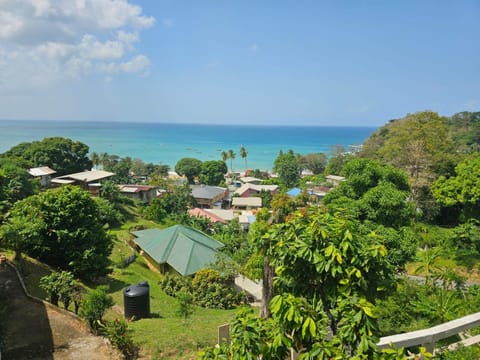 Beres Vale Apartments Bed and Breakfast in Western Tobago