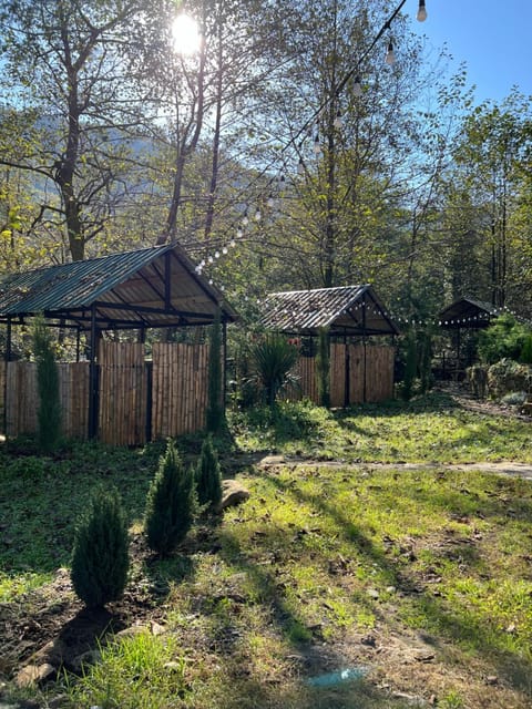 Spring, Day, Garden, Mountain view