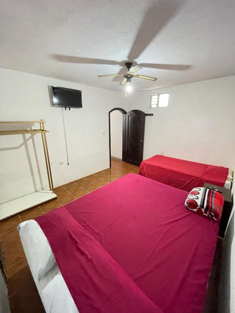 Bed, TV and multimedia, Photo of the whole room, fireplace