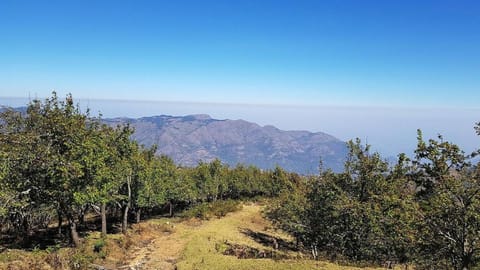 STARLIGHT HOTELS KODAI Hotel in Kodaikanal