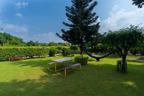 Communal lounge/ TV room, Spring, Day, Natural landscape, Garden, Evening entertainment, Garden view