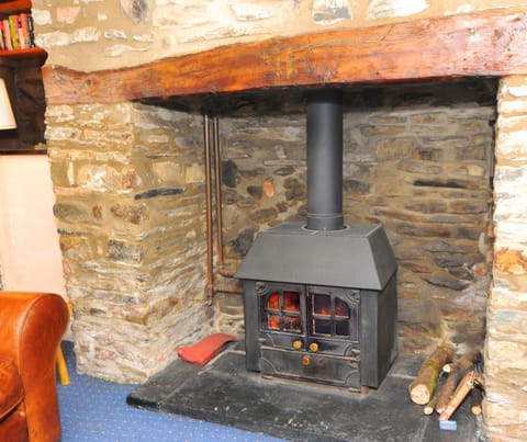 Living room, fireplace