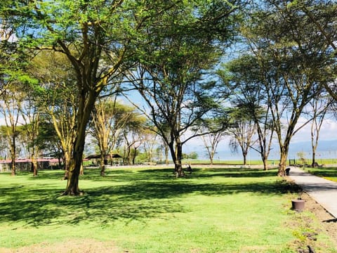 Lake Naivasha Resort Estância in Kenya