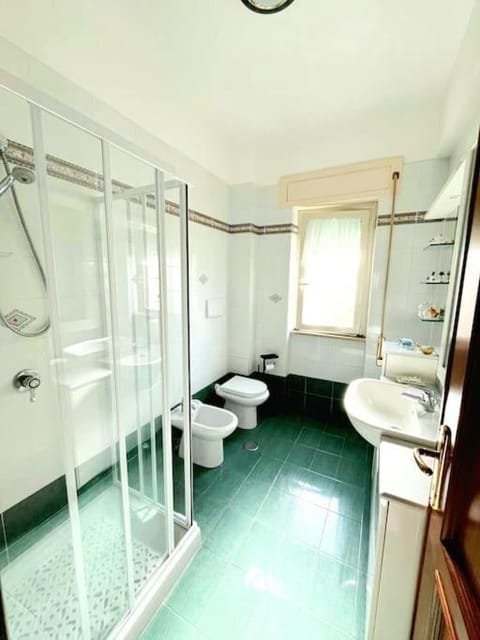 Shower, Toilet, Bathroom, bidet