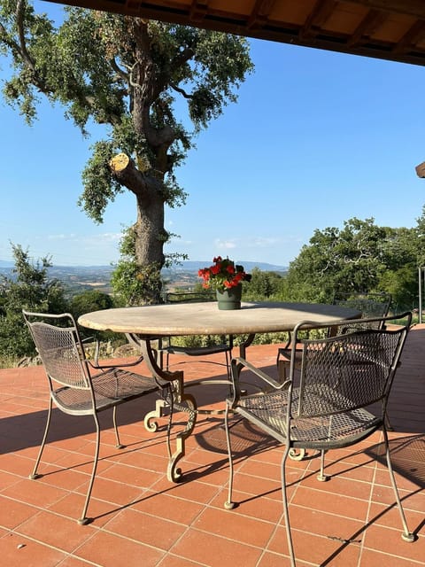 Patio, Day, Natural landscape, View (from property/room), Balcony/Terrace, Dining area