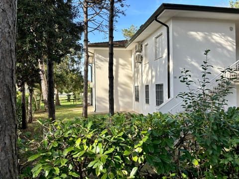 Property building, Patio, Garden