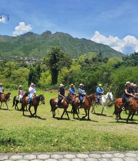 EL DESCANSO DEL TORO HOSTERIA-SPA Hotel in Vilcabamba