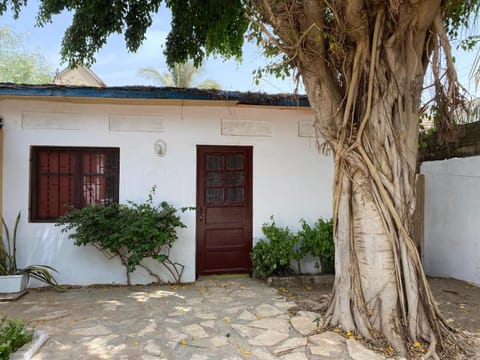 Day, Garden, Garden view