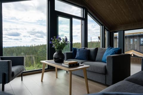 New, modern, cosy hut close to Norefjell Ski & Spa Chalet in Viken, Norway