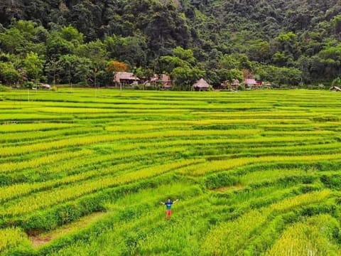 Puluong homestay nacoLodge Country House in Laos