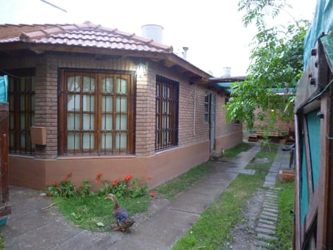 Patio, Facade/entrance