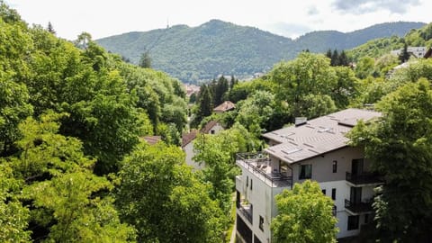 Pensiunea GreenHill Bed and Breakfast in Brasov