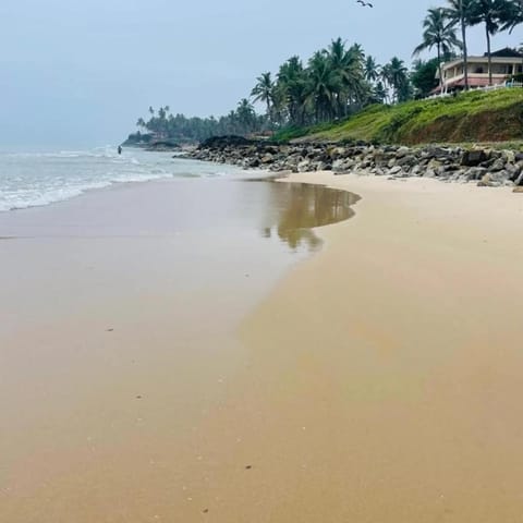 paddy farm beach resort odayam varkala Apartment in Varkala