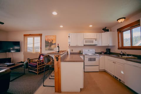 Kitchen or kitchenette, Living room, Dining area, dishwasher, pet friendly, stove