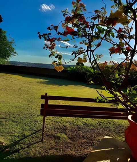 City view, Garden view