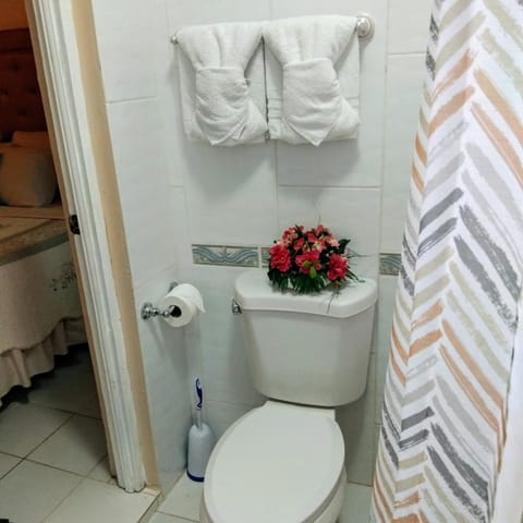 Toilet, Bathroom, towels