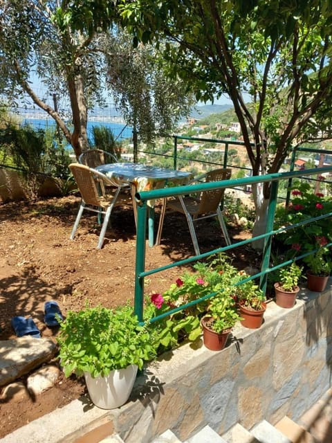 Spring, Day, Garden, Dining area, Garden view