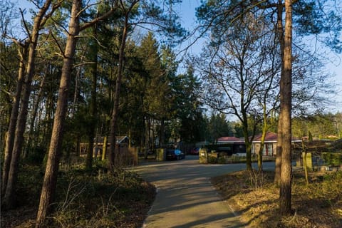 Ruim vakantiehuis met mooie tuin op de Veluwe House in Putten