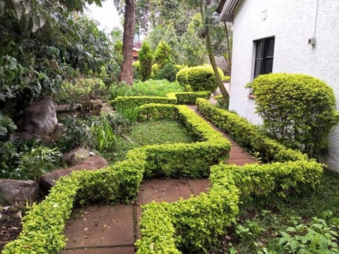 Homely-stay Guesthouse Pensão in Nairobi