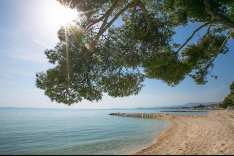 Natural landscape, Summer, Beach