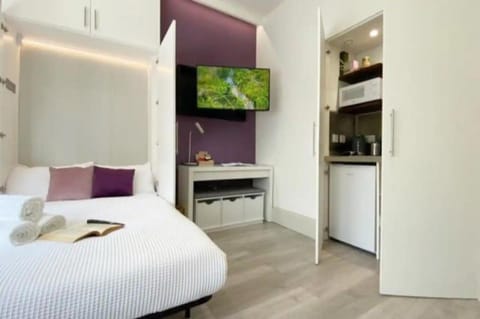 Bed, TV and multimedia, Kitchen or kitchenette, Photo of the whole room, Bedroom, minibar