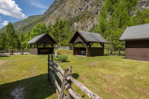 Day, Natural landscape, Garden