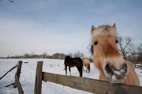 Biohof Medewege Farm Stay in Schwerin