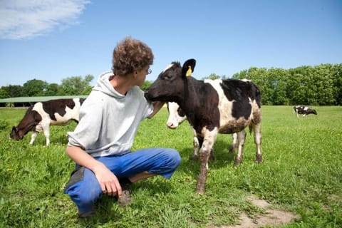 Biohof Medewege Farm Stay in Schwerin