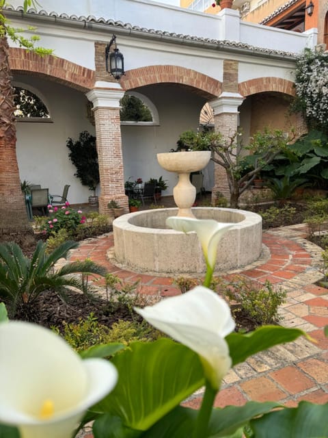 Garden, Garden, Balcony/Terrace, Garden view