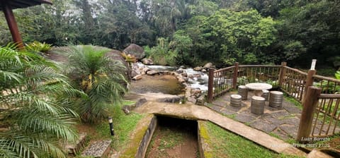 Natural landscape, Pool view