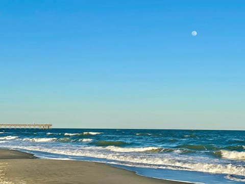 Free State Parks Pass-Ground Floor-Free Parking House in Surfside Beach