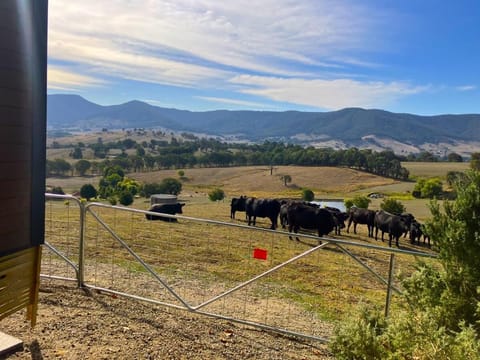 Nichol Road Hideaway House in Yackandandah