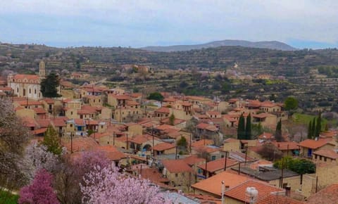 Lofou Traditional Stone House Villa in Limassol District